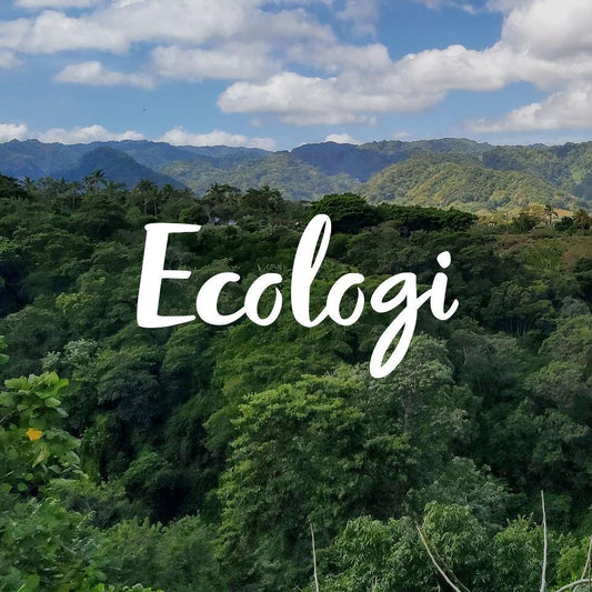 Mon engagement éco-responsable envers notre planète avec Ecologi - Juliana Bijoux