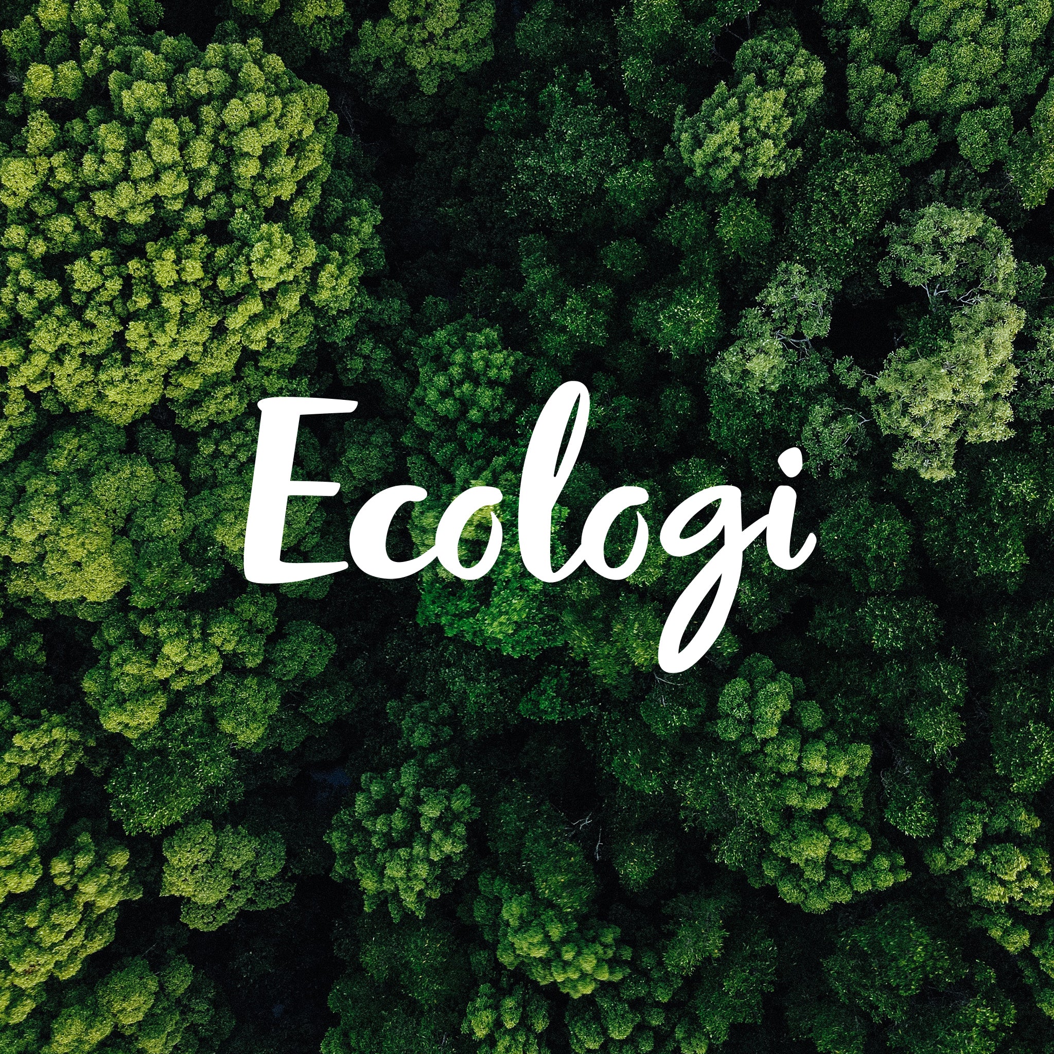 Ecologi_Brand_1x1_18 - Juliana Bijoux